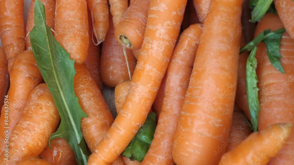 Bright orange carrots displayed at an Italian market, capturing the freshness and vibrant colors typical of Italian summer produce. Bright orange carrots displayed at an Italian market, capturing the freshness and vibrant colors typical of Italian summer produce.