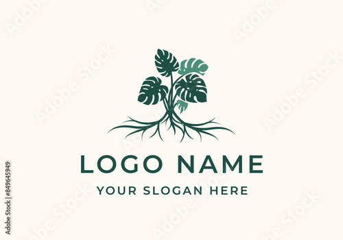 logo monstera leaves and roots. Logo botanical, floral and home plants. Editable file