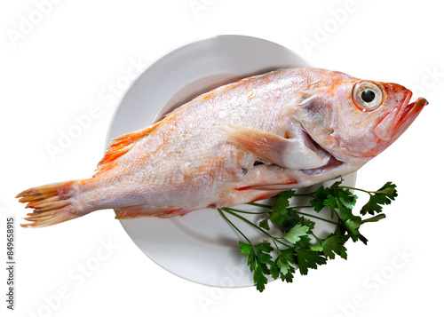 Whole raw red sea bream on white plate surrounded by fresh parsley, garlic, onion, and olive oil prepared for cooking on wooden table surface. Seafood delicacy. Isolated over white background photo