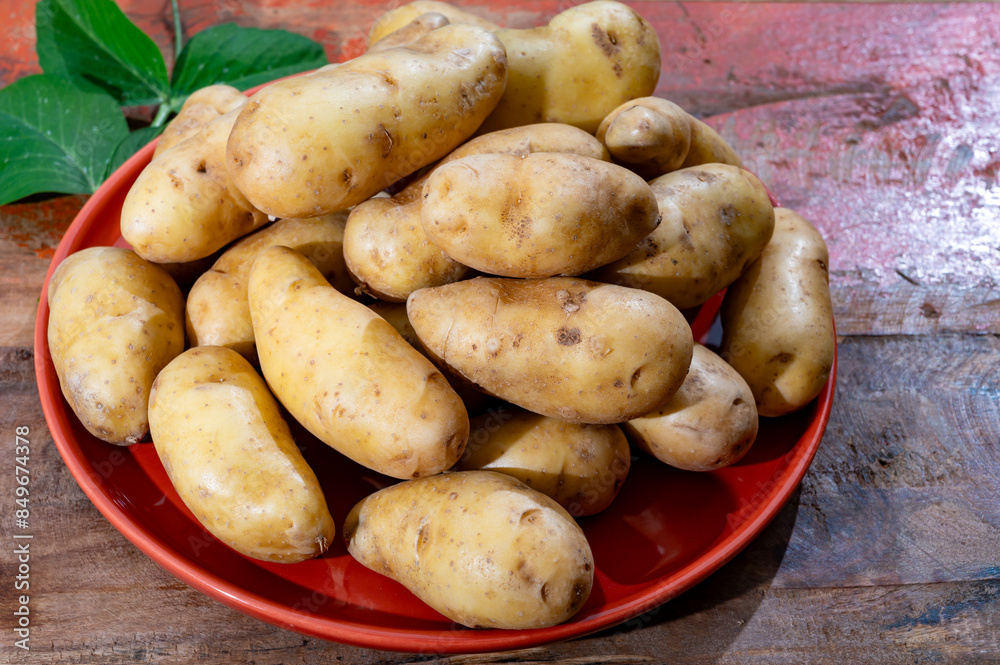 Ratte potato, La Ratte, La Reine Ratte du Touquet, or Asparges small potato with unique nutty flavor and smooth, buttery texture Ratte potato, La Ratte, La Reine Ratte du Touquet, or Asparges small potato with unique nutty flavor and smooth, buttery texture