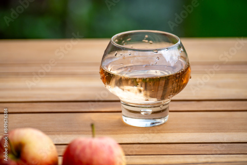 Brut apple cider from Betuwe, Gelderland, in glass, apple cider production in Netherlands photo