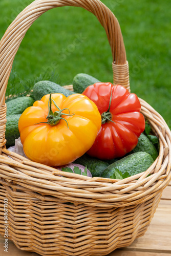Wallpaper Mural Fresh green small cucumbers, garlic, tomato, dill in wicker basket on red background Torontodigital.ca