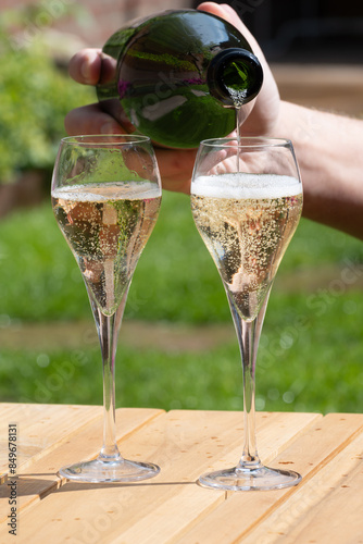 Picnic in summer garden with glasses of brut champagne sparkling wine or cava, cremant produced by traditional method photo