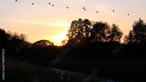 Silhouetted landscape of trees and bird flight diverters on electrical power lines during pink sunset at nature reserve on the Somerset Levels in England UK