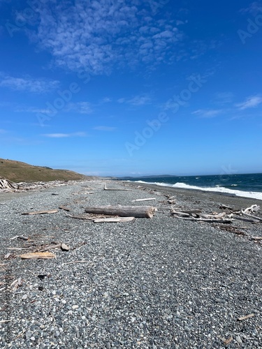 Rocky beach and driftwood at San Juan Island 