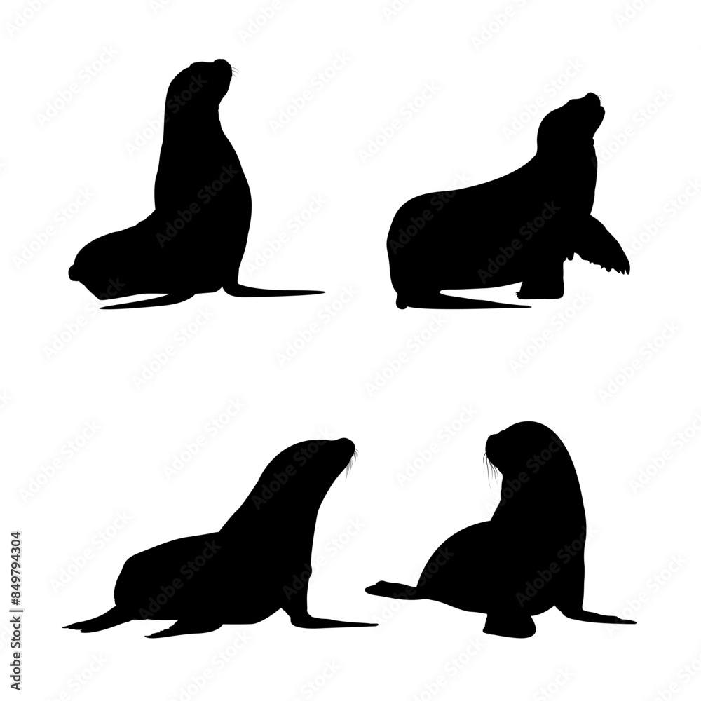 Set of Sea Lion Silhouettes Set of Sea Lion Silhouettes