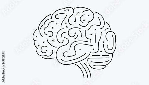 brain line art illustration 