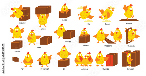 Preposition. Learning english prepositions with cute chicks. preschool educational poster with cartoon pet, language grammar study decent vector banner, topologia language, grammar vocabularies.