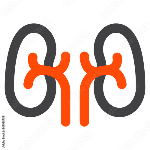 kidney icon