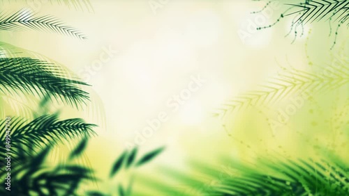 Palm Tree Leaves Background in 4K Resolution  photo