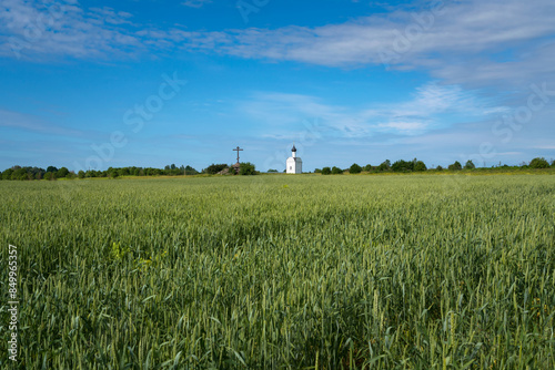 View of the chapel of the Sovereign Icon of the Mother of God and the Cross of Worship against the background of a wheat field on a sunny summer day, Izborsk, Pskov region, Pechersk district, Russia photo