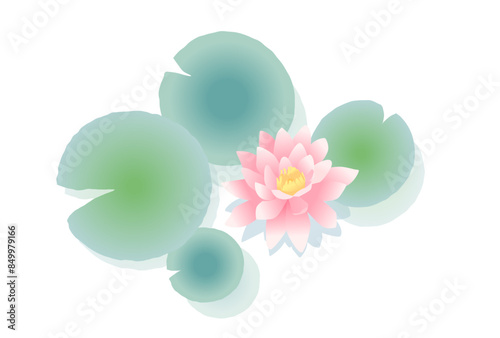上から見たピンクの睡蓮のイラスト