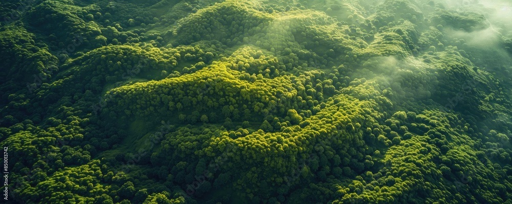 Aerial view of lush green forested mountain range with sunlight and mist, showcasing nature's beauty and tranquility in a breathtaking landscape. Aerial view of lush green forested mountain range with sunlight and mist, showcasing nature's beauty and tranquility in a breathtaking landscape.