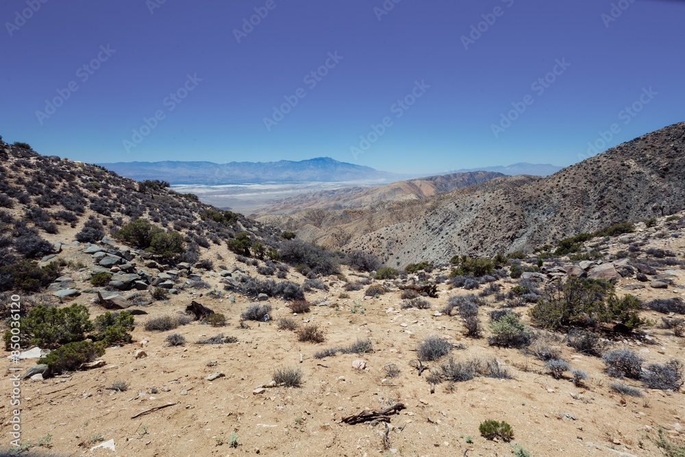 Desert landscape of Joshua Tree National Park, California, United States of America. Desert landscape of Joshua Tree National Park, California, United States of America.