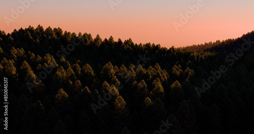 Mountain covered with cedar forest in early morning. 3D rendering. © FlatFloatCreation