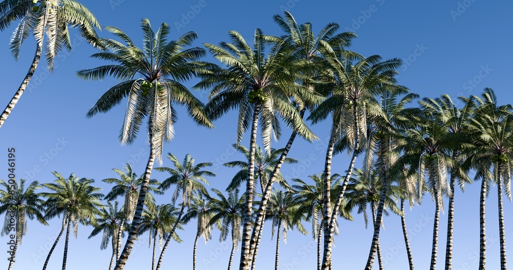 Fototapeta premium Palm trees lining the sandy beach. Blue sky summer landscape. 3D rendering.