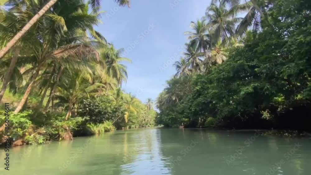  a tropical landscape adorned with swaying coconut trees. A small boat glides gently along the river, offering a tranquil journey through nature’s beauty.