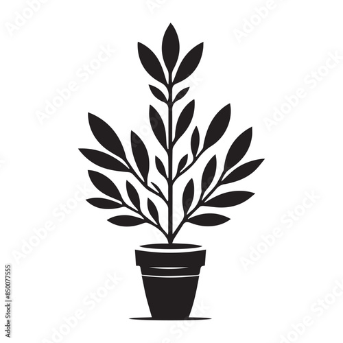 silhouettes of various trees on white background