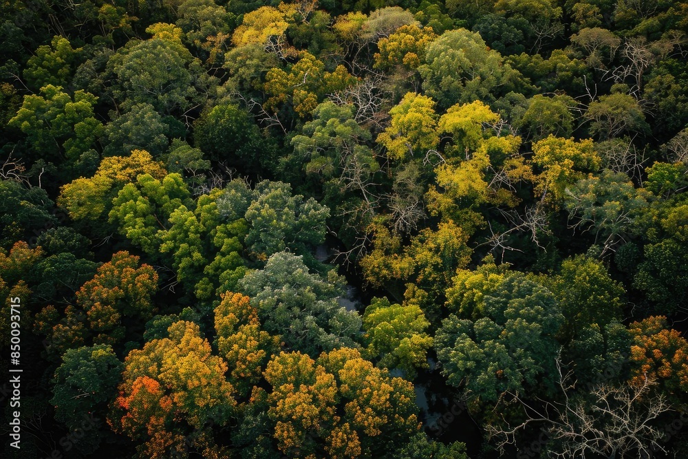 Aerial view of a dense forest with vibrant green and yellow foliage, showcasing the natural beauty and diversity of the woodland canopy. Aerial view of a dense forest with vibrant green and yellow foliage, showcasing the natural beauty and diversity of the woodland canopy.