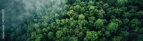 Aerial view of a vast, lush green forest covered in mist, showcasing the natural beauty and diversity of foliage from above.