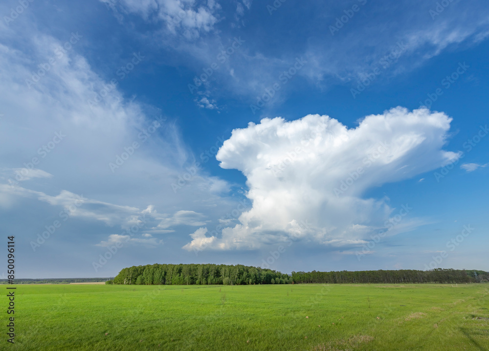 A wide open field stretching towards a cluster of trees in the distance, offering a tranquil and picturesque view of natures beauty under the soft light of spring. A wide open field stretching towards a cluster of trees in the distance, offering a tranquil and picturesque view of natures beauty under the soft light of spring.