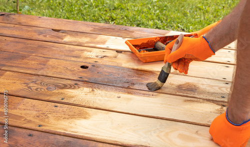 Wallpaper Mural A close-up image of a gloved hand painting a wooden deck with a brush and stain. The hand is holding the brush and applying the stain to the wood. Torontodigital.ca
