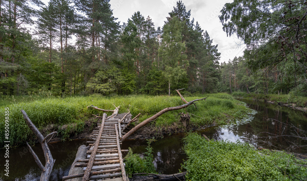 A rustic wooden bridge spans a peaceful river flowing through a lush summer forest. Tall trees line the banks, creating a serene and tranquil atmosphere. A rustic wooden bridge spans a peaceful river flowing through a lush summer forest. Tall trees line the banks, creating a serene and tranquil atmosphere.