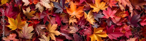 Vibrant Autumnal Leaf Blend...