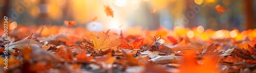 Vibrant Autumn Foliage Carp...