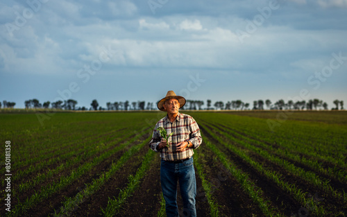 Portrait of senior farmer standing in corn field looking at camera at sunset.