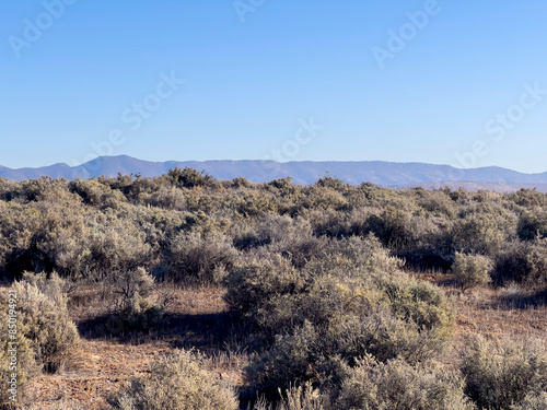 Arid Beauty - Flinders Ranges Landscape photo