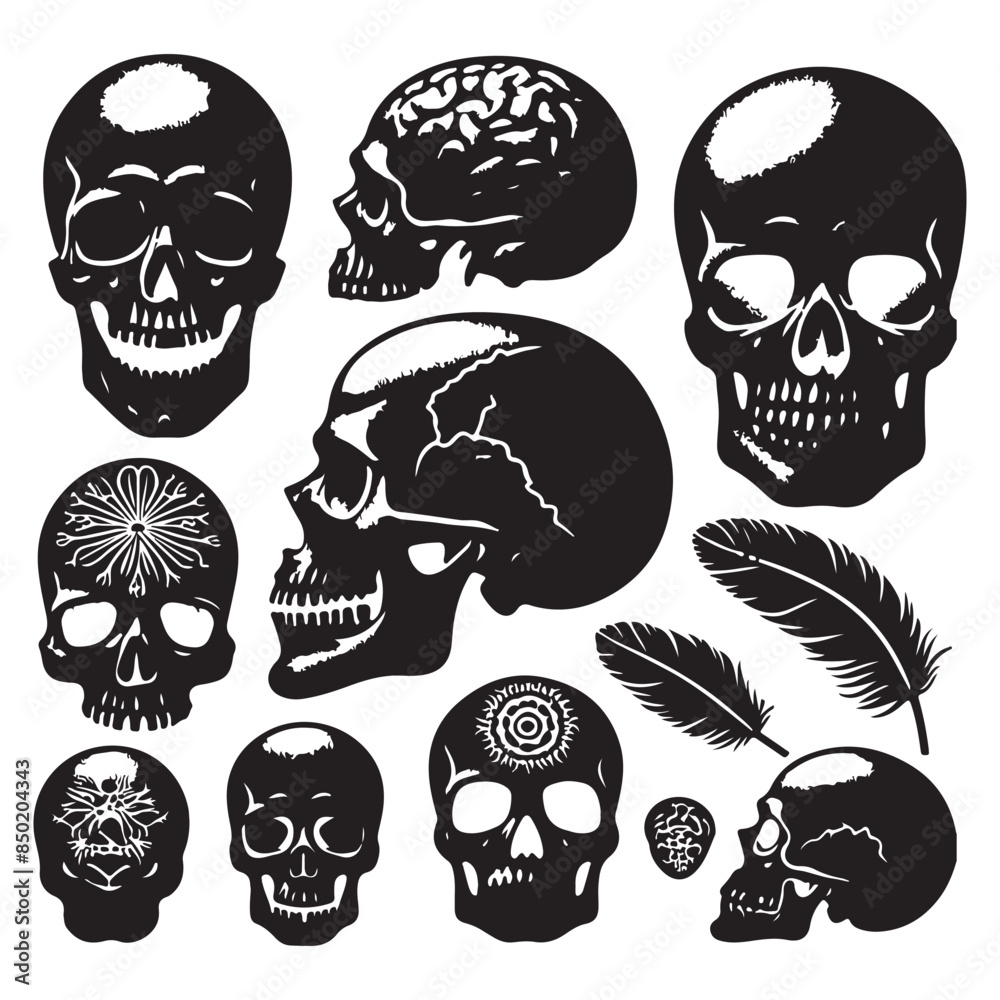 Fototapeta premium Silhouette set of skull head. Vector isolated illustration