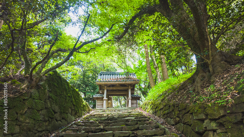 神社の門と石階段の写真（日本）
