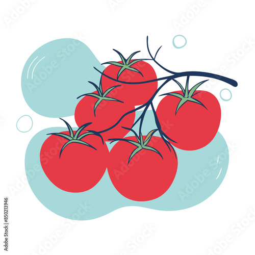 bright illustration of ripe tomatoes still on the vine.