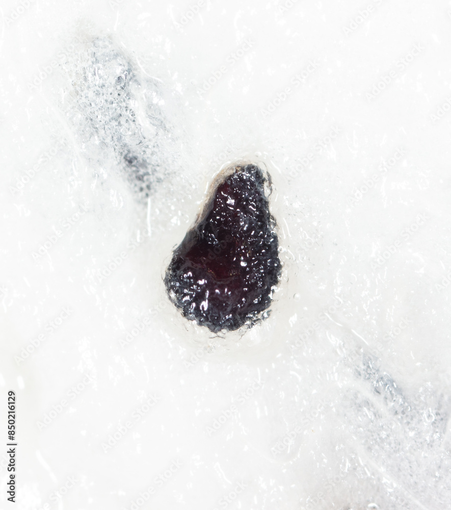 Seeds on dragon fruit pulp as background. Macro Seeds on dragon fruit pulp as background. Macro