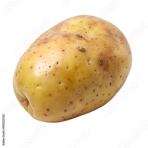 Raw potato isolated on transparent background