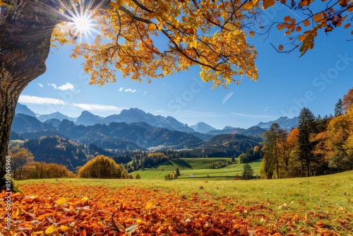Sunny autumn landscape showcasing charming rural idyll panorama in a picturesque setting