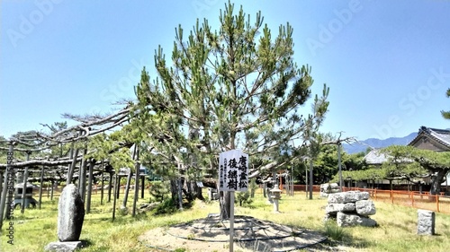 A shrine in Otsu, Shiga, Japan, with the Japanese writing 