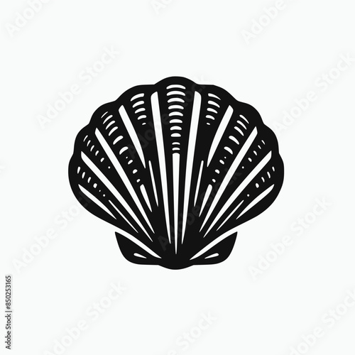 shell vector illustration isolated