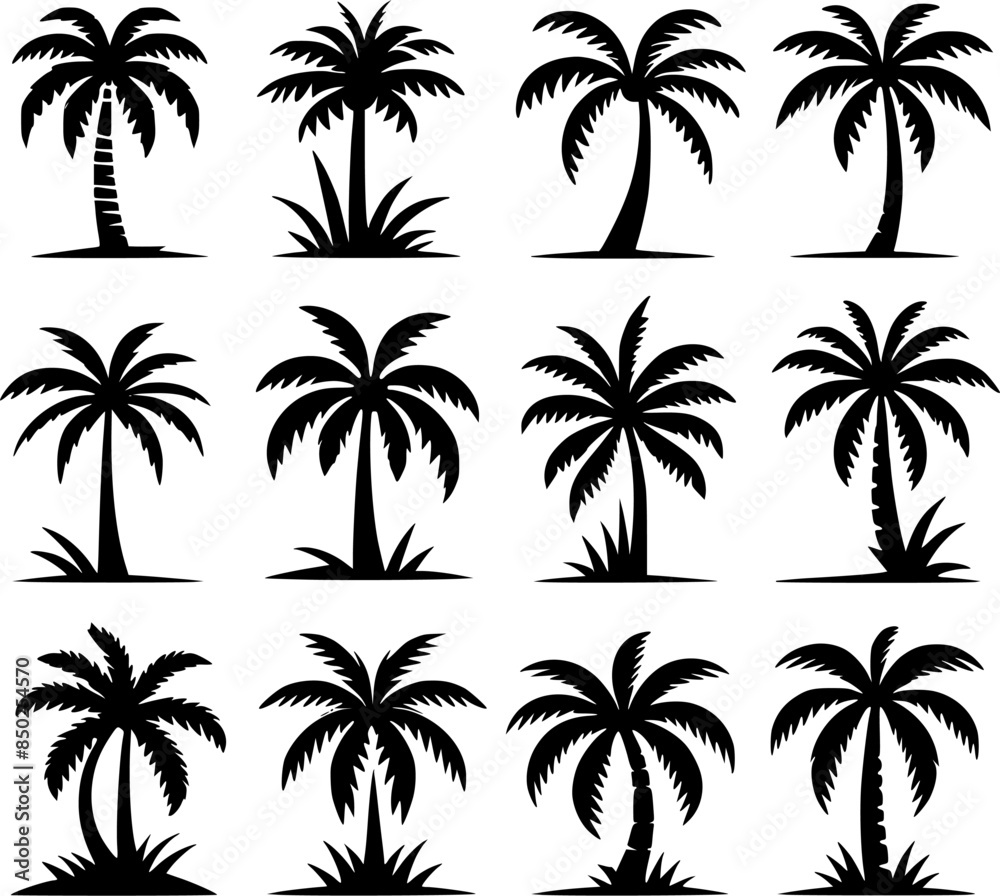 Palm Tree Set Vector Illustration for your tropical design 
