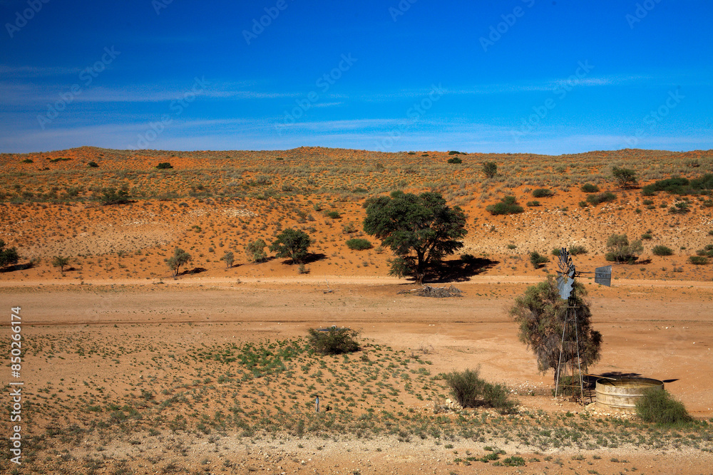 Kgalagadi Transfrontier Park one of the great parks of South Africa wildlife and hospitality in the Kalahari desert Kgalagadi Transfrontier Park one of the great parks of South Africa wildlife and hospitality in the Kalahari desert