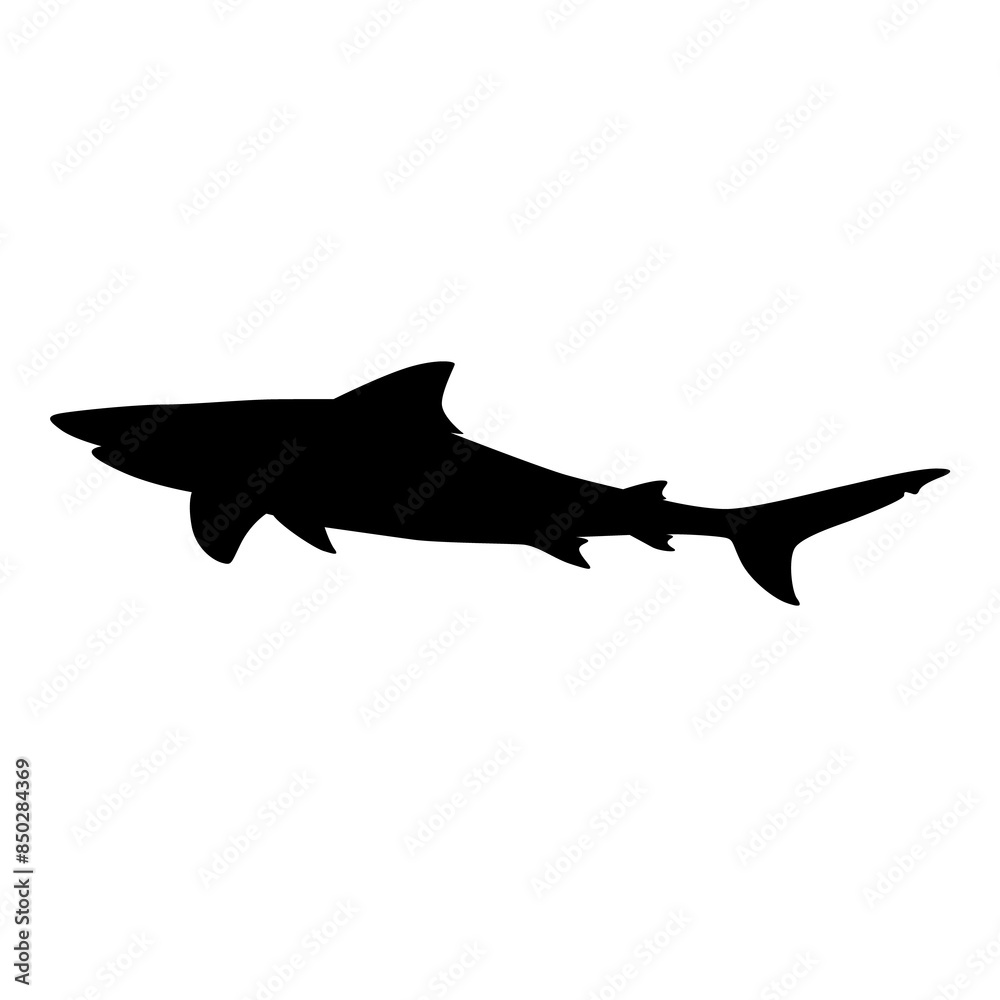 Obraz premium Shark silhouette isolated on transparent background.