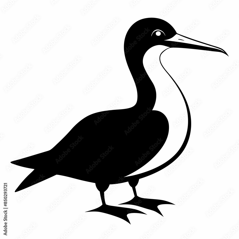 Gannet bird animal Silhouette Vector illustration svg Gannet bird animal Silhouette Vector illustration svg