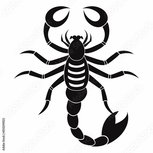 Vector coloring Scorpion for adults illustration. 