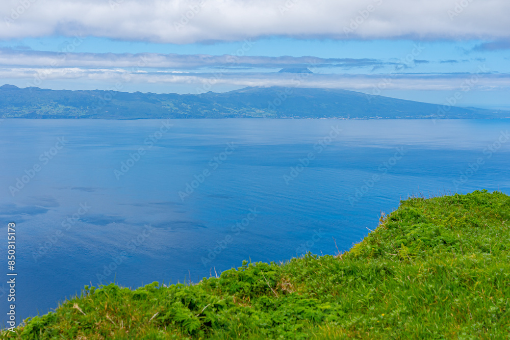 surrounding area with strong vegetation in the Pico da Esperança area, São Jorge Island-Azores-Portugal. surrounding area with strong vegetation in the Pico da Esperança area, the highest point surrounding area with strong vegetation in the Pico da Esperança area, São Jorge Island-Azores-Portugal. surrounding area with strong vegetation in the Pico da Esperança area, the highest point