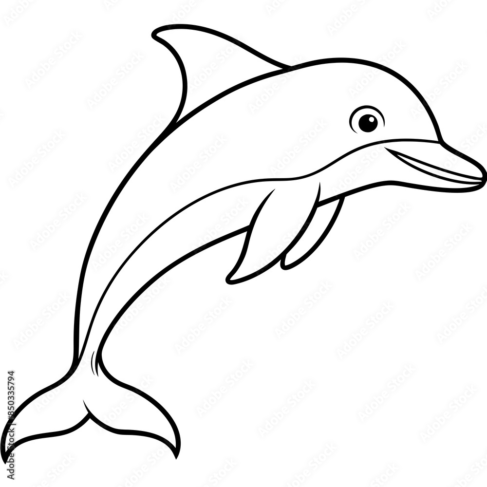 dolphin isolated on white background dolphin isolated on white background