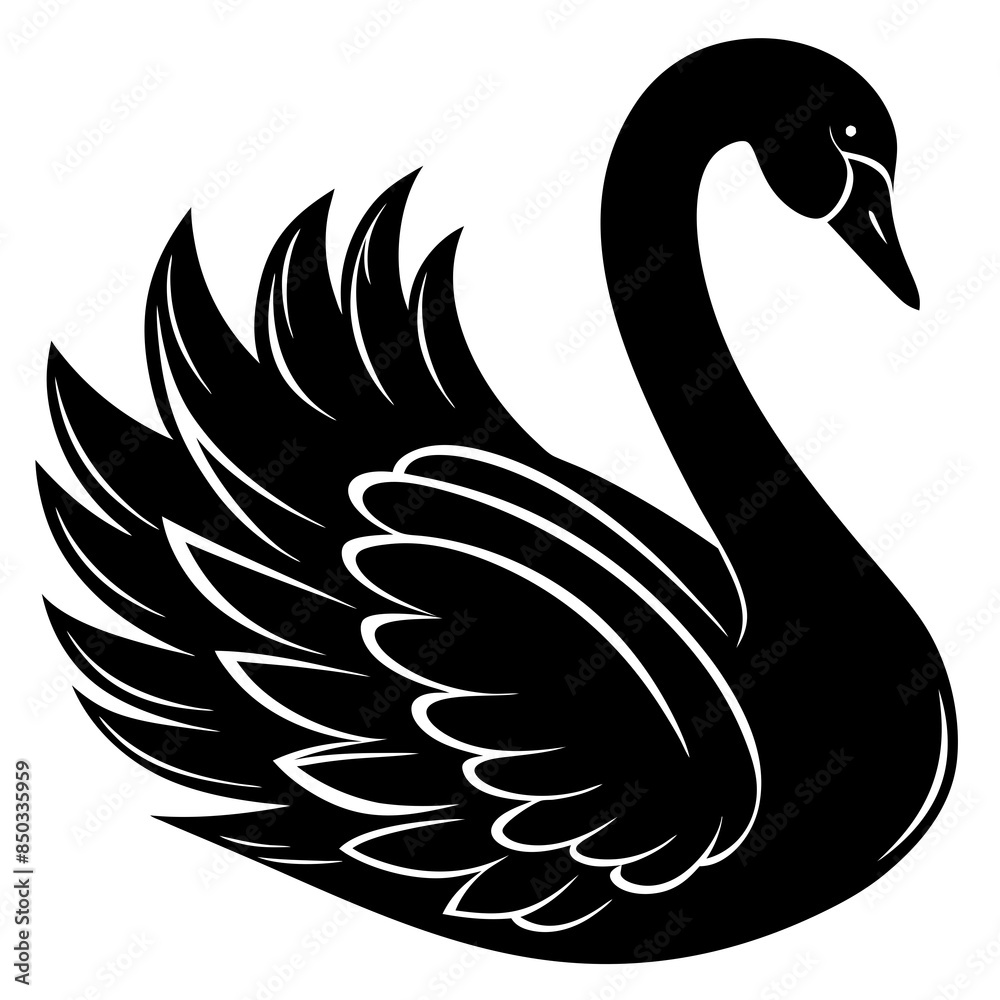 Obraz premium black swan on white