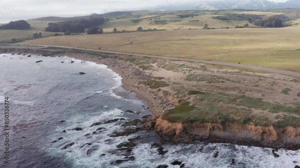 Low aerial dolly shot of the Northern Elephant Seal Rookery in San Simeon, California. 4K Low aerial dolly shot of the Northern Elephant Seal Rookery in San Simeon, California. 4K
