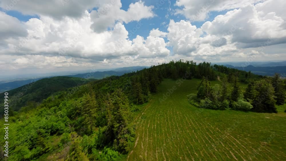 Wild natural landscape with forest walkway in Poland, aerial view Wild natural landscape with forest walkway in Poland, aerial view