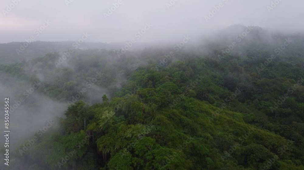 Misty Mountainous Tropical Rainforest at Minca, Colombia, Aerial Misty Mountainous Tropical Rainforest at Minca, Colombia, Aerial